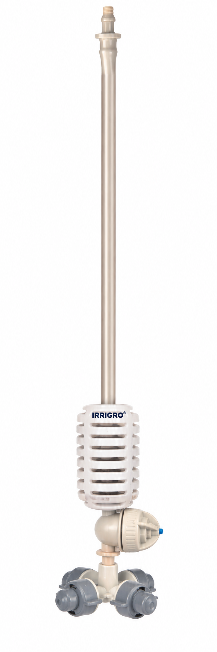 IG-10 (FG)